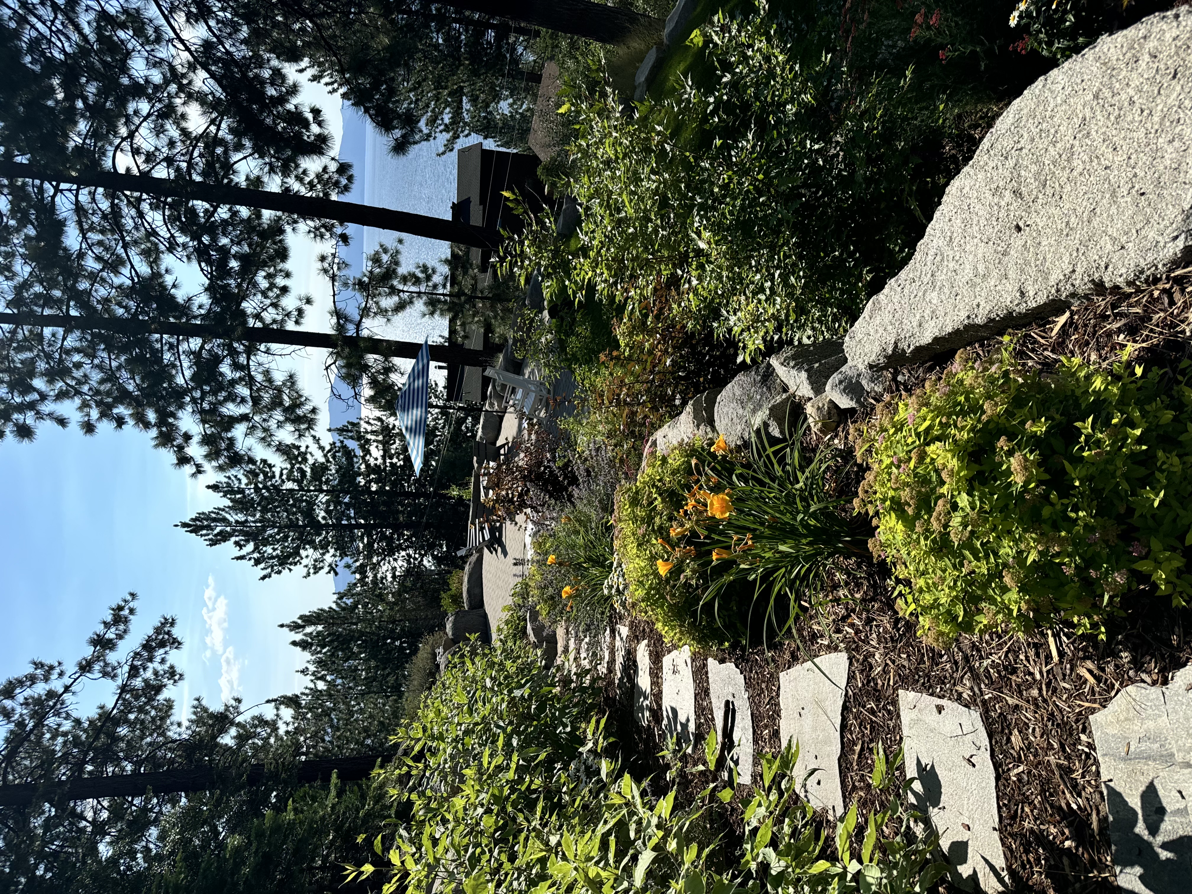 Lakeview Tahoe garden path with flowering plants, boulders, and pine trees